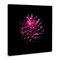 Stupell Industries Purple Dahlia Dark Contemporary Canvas, design by Brian Carson Photography